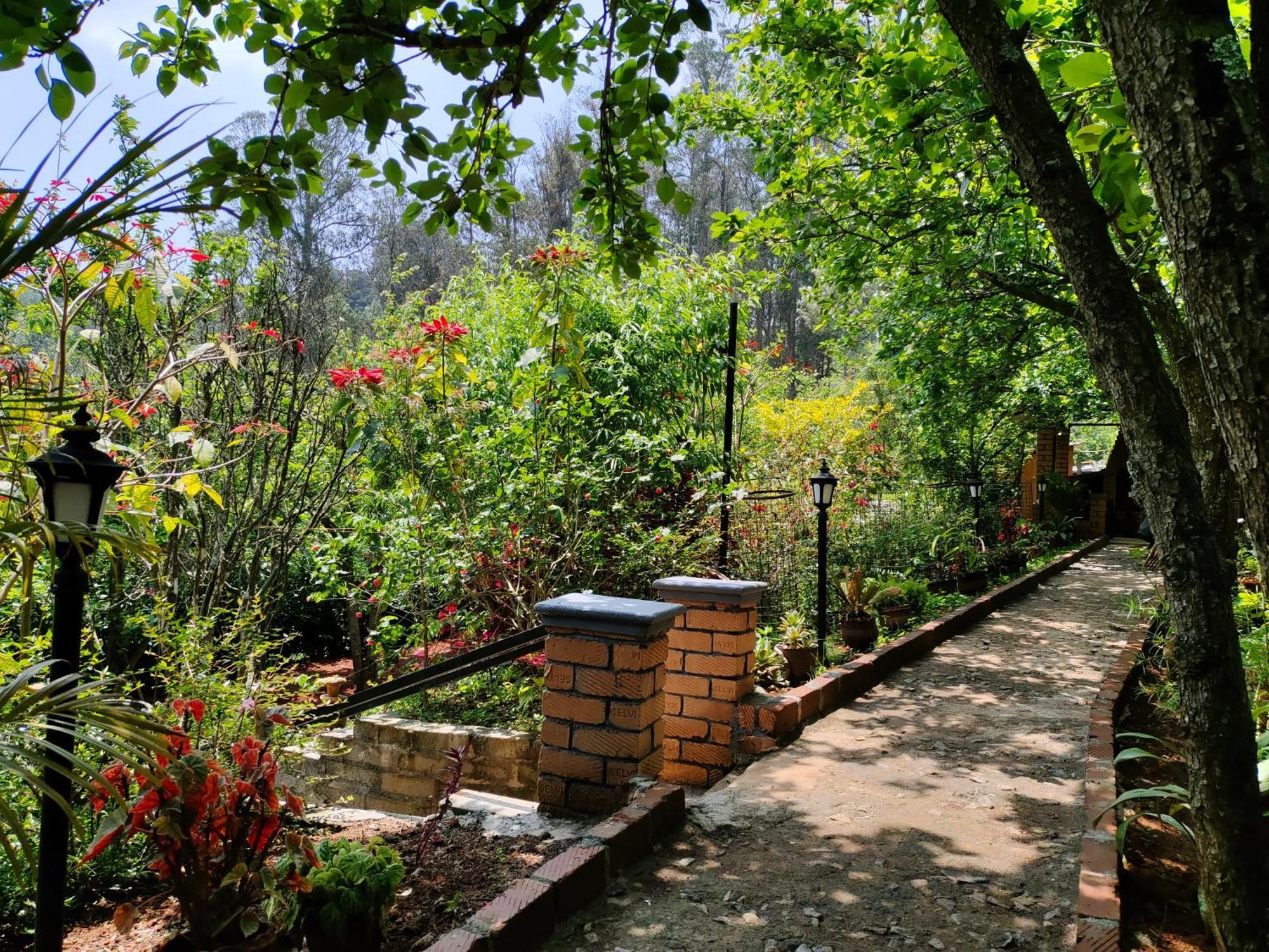 Pear Tree Entire 2Bhk Villa Kotagiri Esterno foto