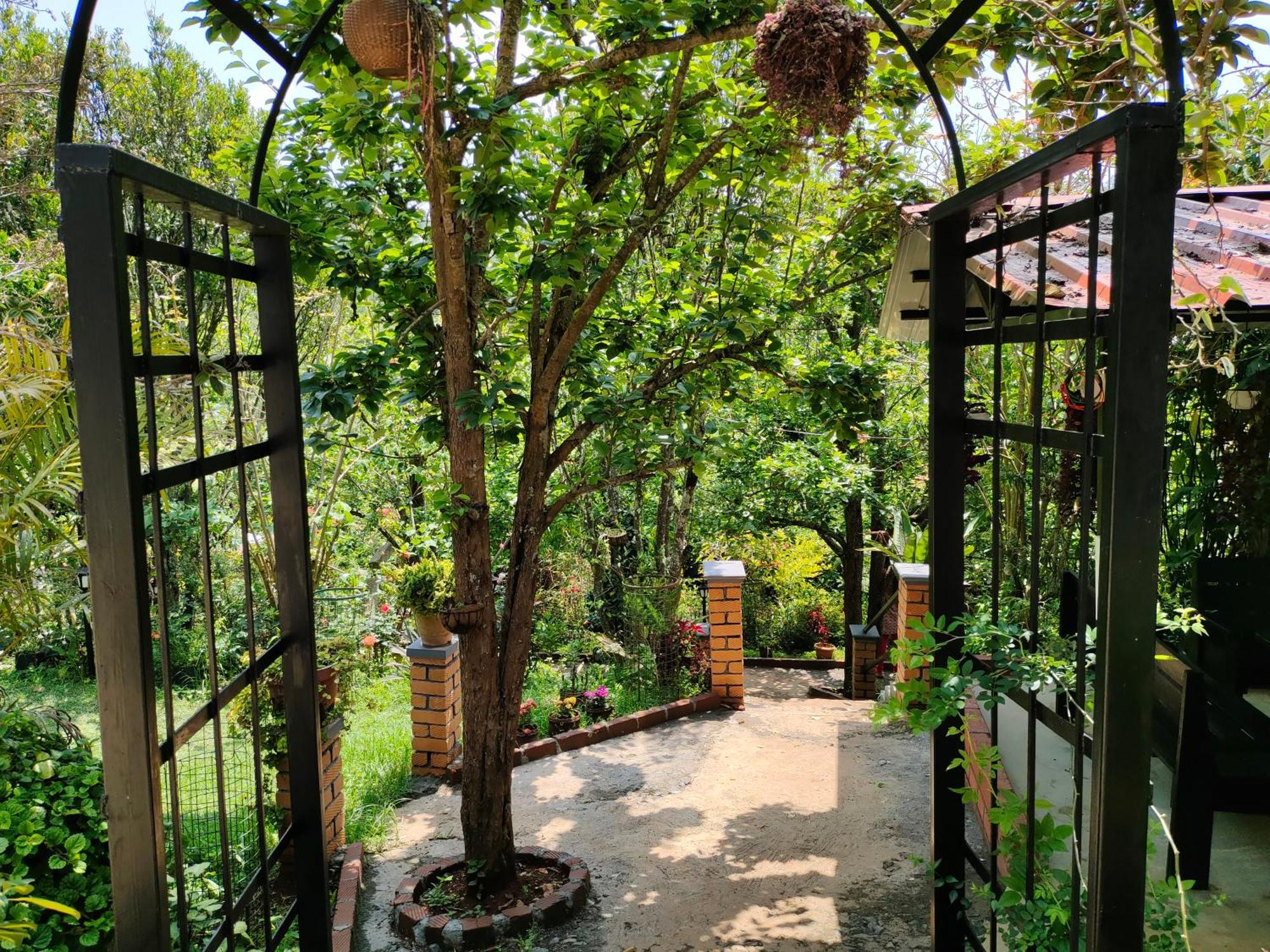 Pear Tree Entire 2Bhk Villa Kotagiri Esterno foto