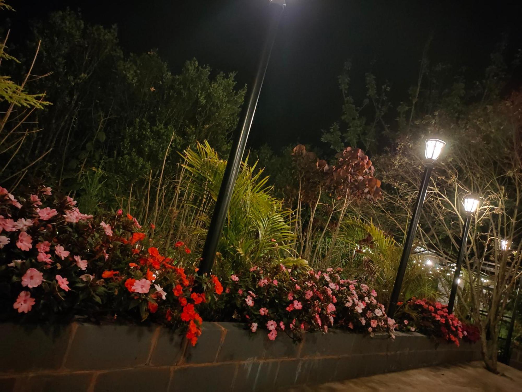 Pear Tree Entire 2Bhk Villa Kotagiri Esterno foto