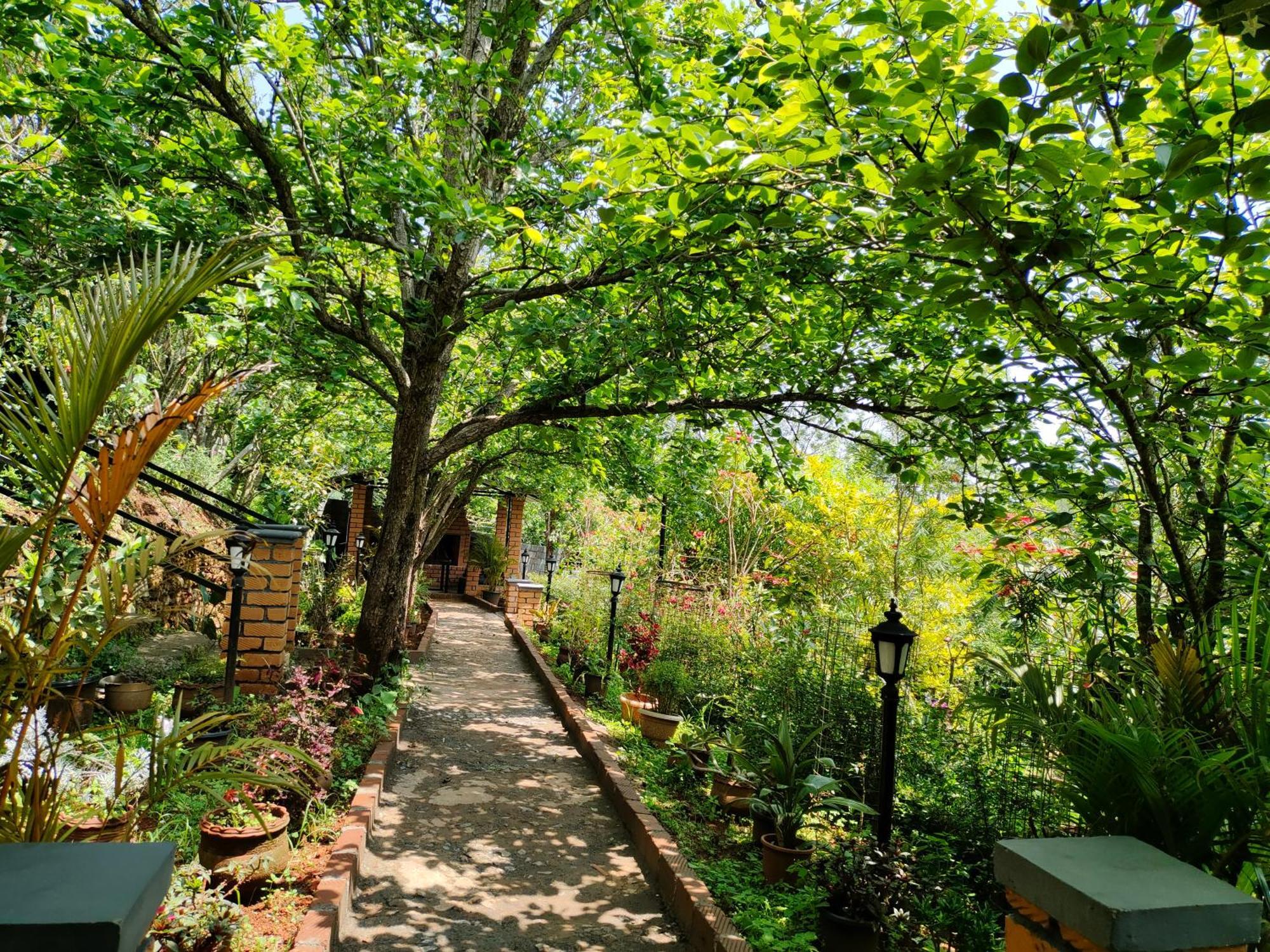 Pear Tree Entire 2Bhk Villa Kotagiri Esterno foto