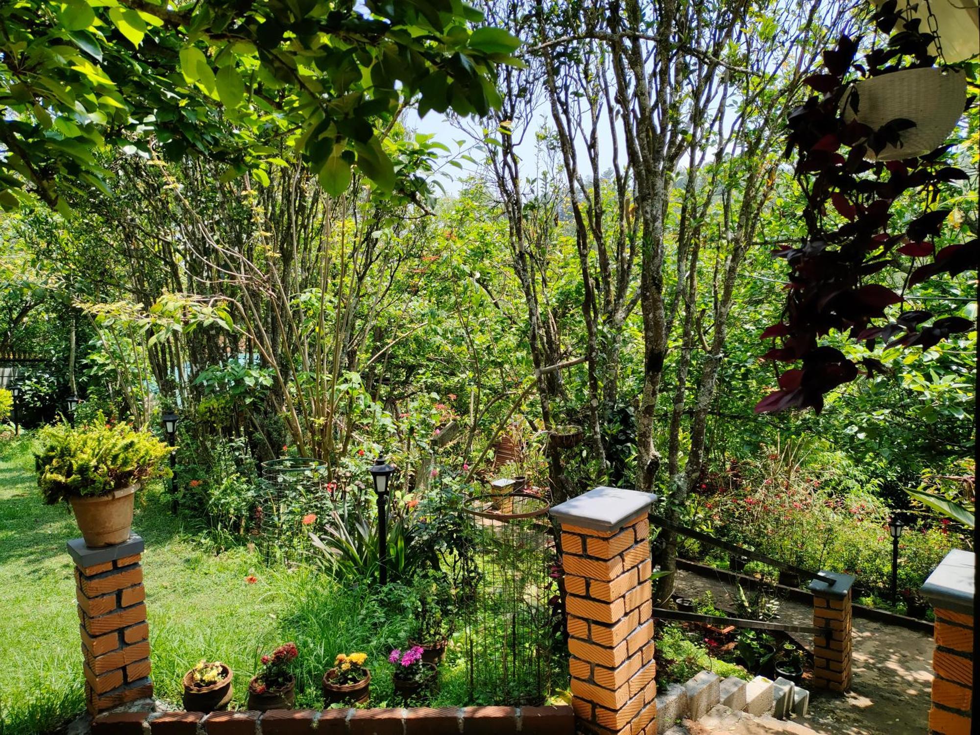 Pear Tree Entire 2Bhk Villa Kotagiri Esterno foto